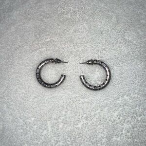 Express Silver Hoop Earrings